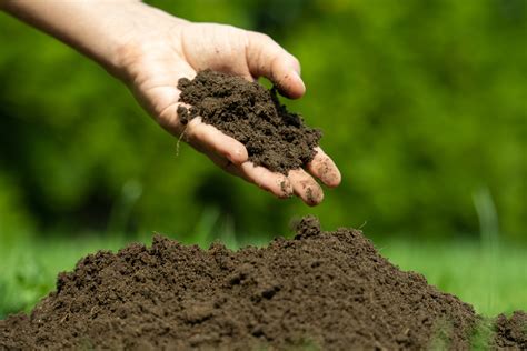 Soil .